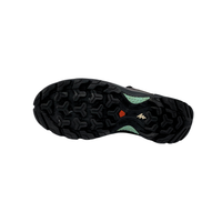 Adidas Hicking shoes