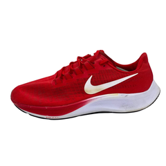 Nike Zoom Pegasus 37