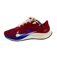 Nike Air zoom Pegasus